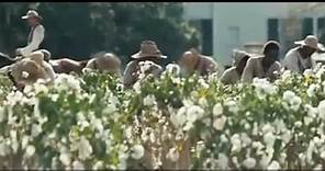 12 años de esclavitud (2013) - Trailer español - Vídeo Dailymotion