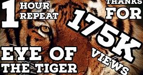 Eye of the Tiger 1 Hour Repeat