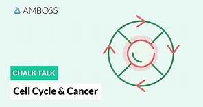 Cell Cycle and Cancer: Phases, Hallmarks, and Development