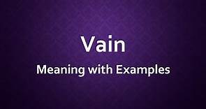 Vain Meaning | Best 10 Definitions of Vain | Vain Example Sentences