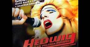 Hedwig y la Pulgada Furiosa - Origen del Amor (Peruvian Cast).avi