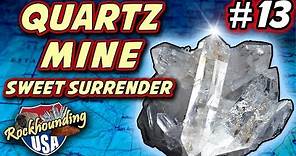 Finding Fabulous Quartz Crystals in Mt. Ida, Arkansas (Sweet Surrender Quartz Crystal Mine)