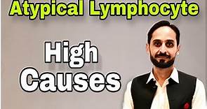 Atypical Lymphocytes | What is Atypical Lymphocyte | High Atypical Lymphocytes Causes