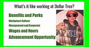 Working at Dollar Tree (Everything you NEED to KNOW)