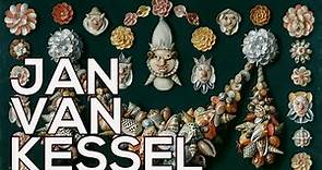 Jan van Kessel: A collection of 134 paintings (HD)