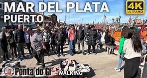 [IMPERDIBLE] PASEO -PUERTO de MAR DEL PLATA -OCTUBRE 2023 #walking TOUR - COSTA ATLÁNTICA ARGENTINA