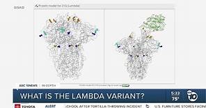 In-Depth: What is the lambda variant of COVID-19?