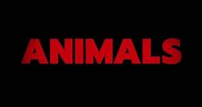 Bande-annonce: "Animals" de Nabil Ben Yadir