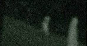 Strange Alien Stick-like creatures caught on security camera above Fresno in Yosemite (Video Tests)