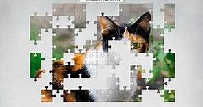 Cat Jigsaw Puzzle Online