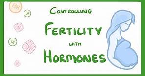 GCSE Biology - What is IVF? How Does IVF Work and What Are The Risks? IVF Explained #62
