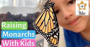 The Amazing Life Cycle of a Monarch Butterfly | Monarch Life Cycle for Kids