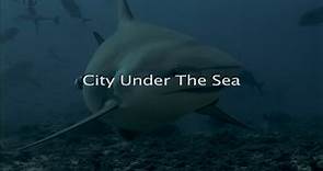 'CITY UNDER THE SEA' trailer - Liquid Motion Film/National Geographic/FICS