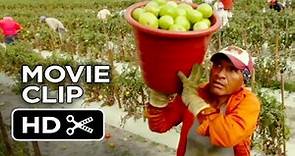 Food Chains Movie CLIP - Early Morning (2014) - Documentary HD