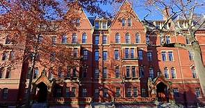 Harvard: conheça a mais prestigiada universidade dos EUA