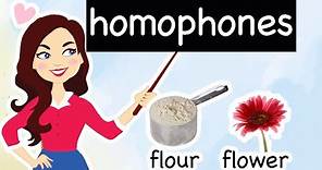 English Lesson #18 | What are HOMOPHONES? Examples & Usage