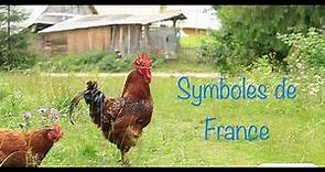 Impara il francese: les symboles de la France