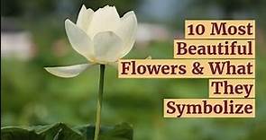 10 Most Beautiful Flowers & What They Symbolize