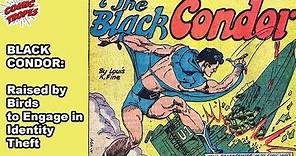 Black Condor: An Identity-Stealing Superhero Raised by Birds
