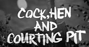 The Wednesday Play - Cock, Hen and Courting Pit (1966) by David Halliwell & Charles Jarrott