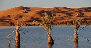 Die Geschichte der Sahara: Seen im Sand