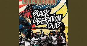Black Liberation Dub