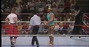 WWF:Wrestlefest '90-1990
