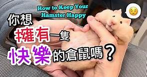 保持倉鼠快樂的13種方法! How to Make Your Hamster Happy? 怎樣確保飼養的倉鼠開心?