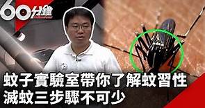 蚊子實驗室帶你了解蚊習性 滅蚊三步驟不可少【60分鐘 精華】@chinatvnews