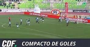 Santiago Wanderers 2 - 1 Deportes Magallanes | Campeonato As.com Primera B 2019 | Fecha 8 | CDF
