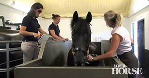 Hydrotherapy | Your Horse