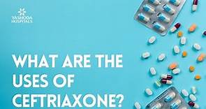 What are the uses of Ceftriaxone?