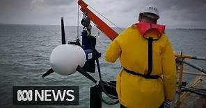 The rise of tidal energy in Australia | ABC News