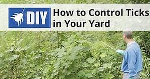How to Control Ticks in the Yard