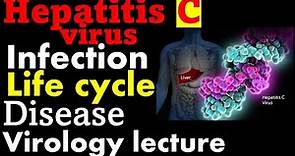 Hepatitis C virus infection and treatment