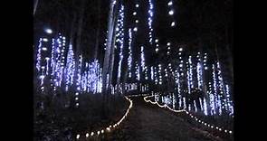 Green Bay Botanical Garden of Lights