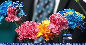 Color Carnations using science