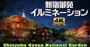 【Tokyo, Japan 4K/60fps Walking Tour】紅葉の新宿御苑 Shinjuku Gyoen National Garden Illumination
