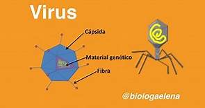 Virus - Conceptos generales
