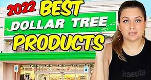 The BEST Dollar Tree Products I Bought in 2022 | Dollar Tree