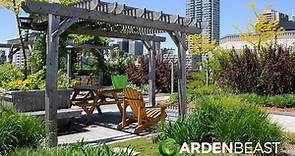 Rooftop Gardens: A Step-By-Step Guide to Designing an Urban Oasis