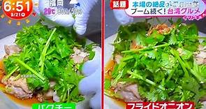 日本美食節目介紹台灣雞肉飯　「狂加香菜」網熱議 - 華視新聞網