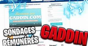 [TUTO] Tout savoir sur GADDIN | SONDAGES RÉMUNÉRÉS | FR
