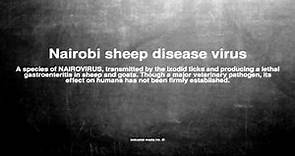 Medical vocabulary: What does Nairobi sheep disease virus mean