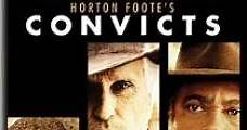 Convictos / Convicts (1991) Online - Película Completa en Español - FULLTV