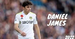 Daniel James 2022/2023 ● Best Skills and Goals ● [HD]