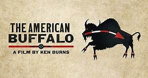 Watch The American Buffalo | A Documentary from Ken Burns | PBS