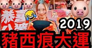 ＊2019豬西痕大運＊ | 火雞姐系列 | YANKIDIN