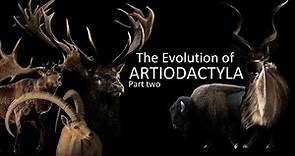 The Evolution of Artiodactyls (part two) : Deers, antelopes and goats 🦌🐂