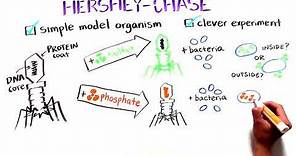 The Hershey and Chase Experiment | Discovery of DNA as the genetic material